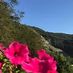 La Rosa Spina