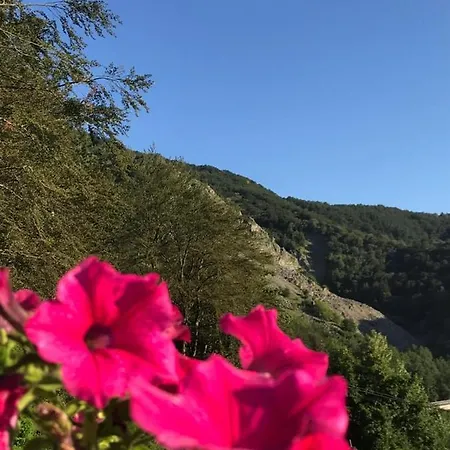 La Rosa Spina