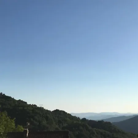 Apartamento La Rosa Spina *