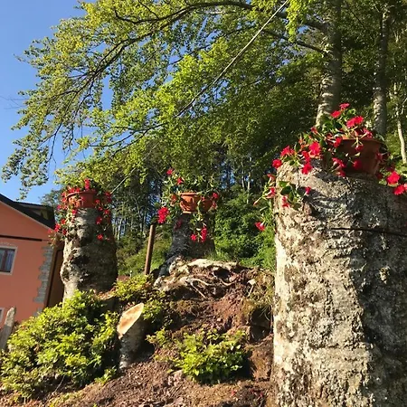Apartamento La Rosa Spina